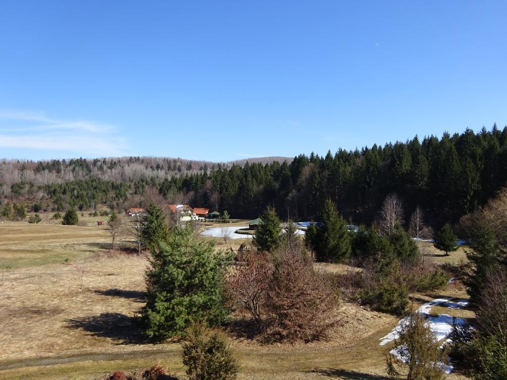 Vila Eden Porumbacu de Sus Dış mekan fotoğraf