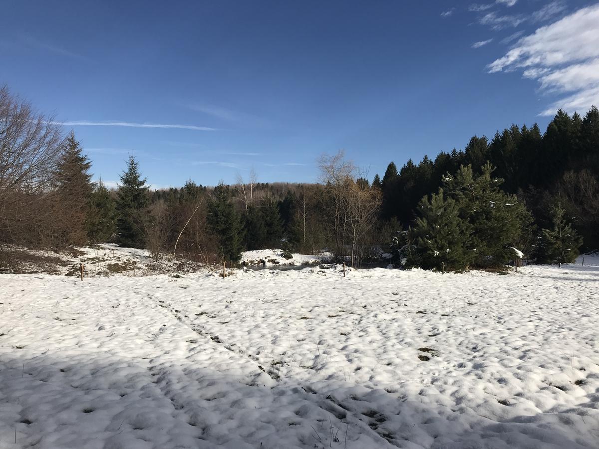Vila Eden Porumbacu de Sus Dış mekan fotoğraf