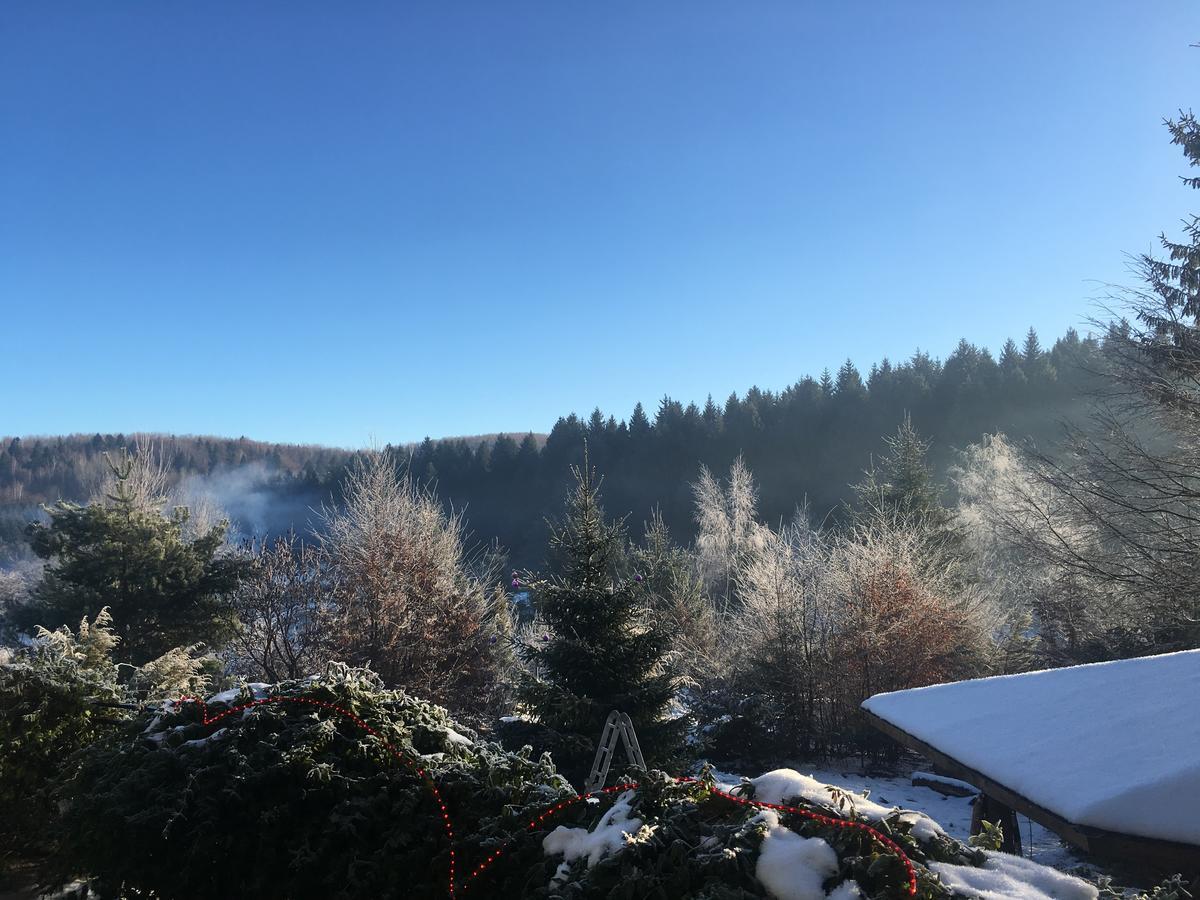 Vila Eden Porumbacu de Sus Dış mekan fotoğraf