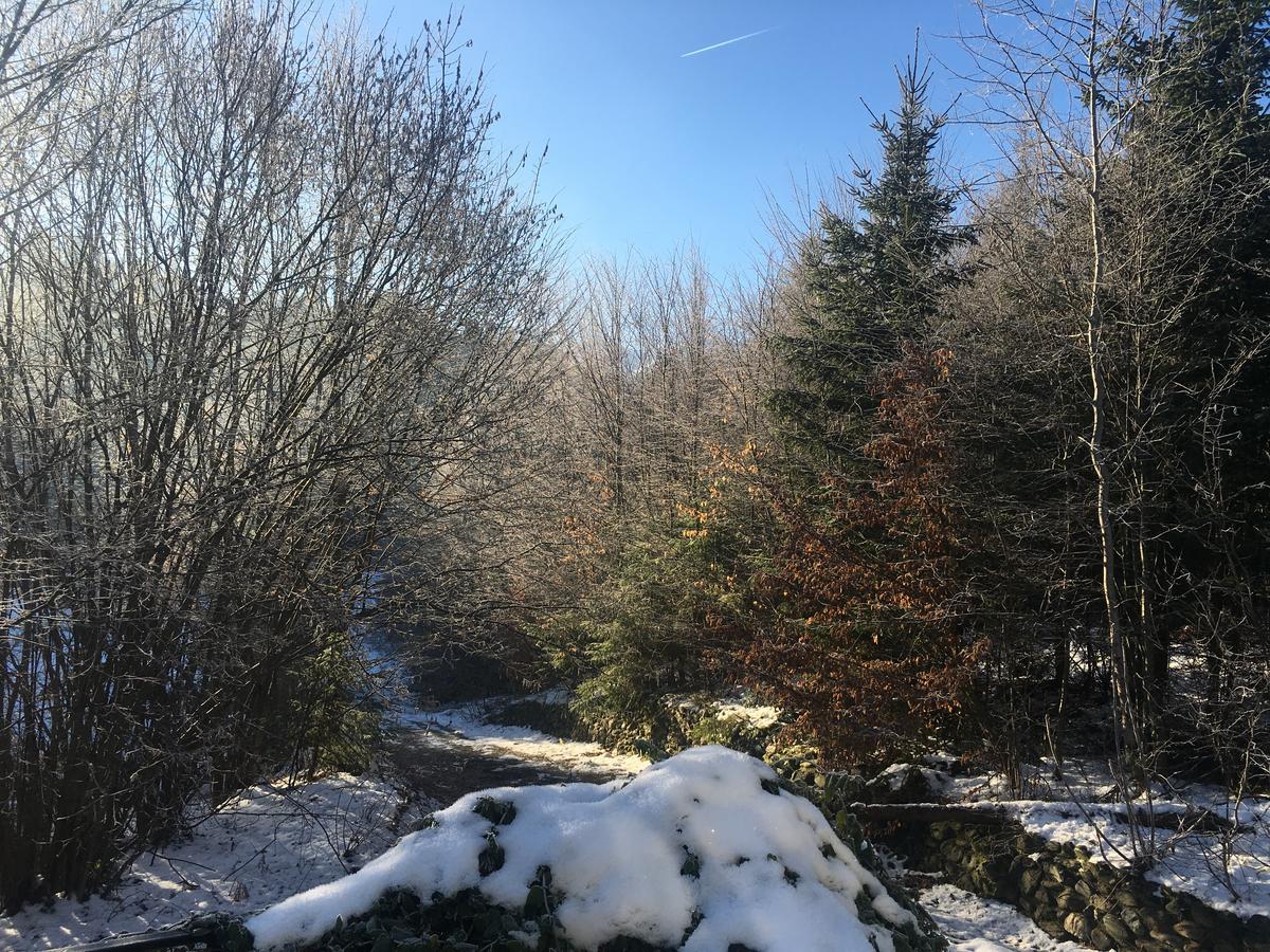 Vila Eden Porumbacu de Sus Dış mekan fotoğraf