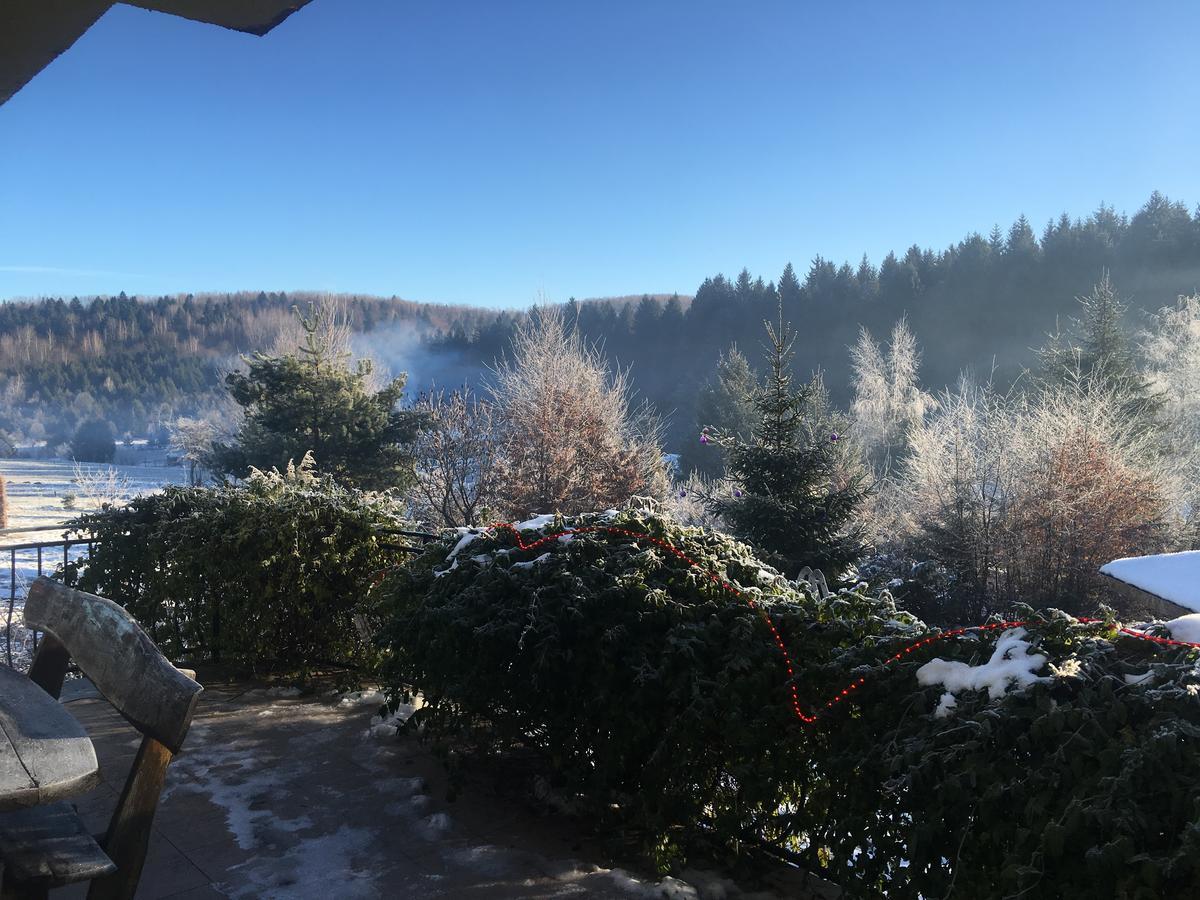 Vila Eden Porumbacu de Sus Dış mekan fotoğraf