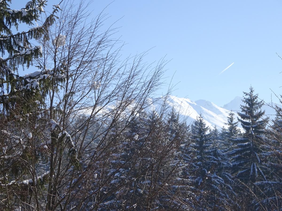Vila Eden Porumbacu de Sus Dış mekan fotoğraf
